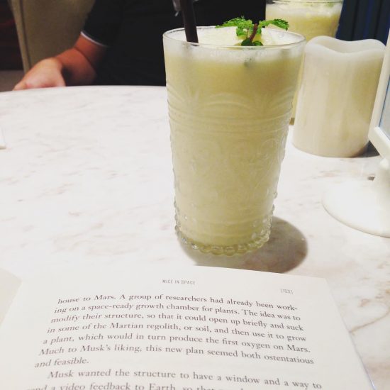 Piña colada Smoothie & Chapter 6 of Elon Musk: Mice in Space