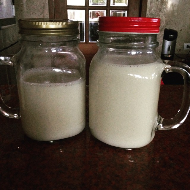 I made soy milk for the first time. It's not my favorite thing to make. But it's worth it. #soymilk #soymilkwithlove