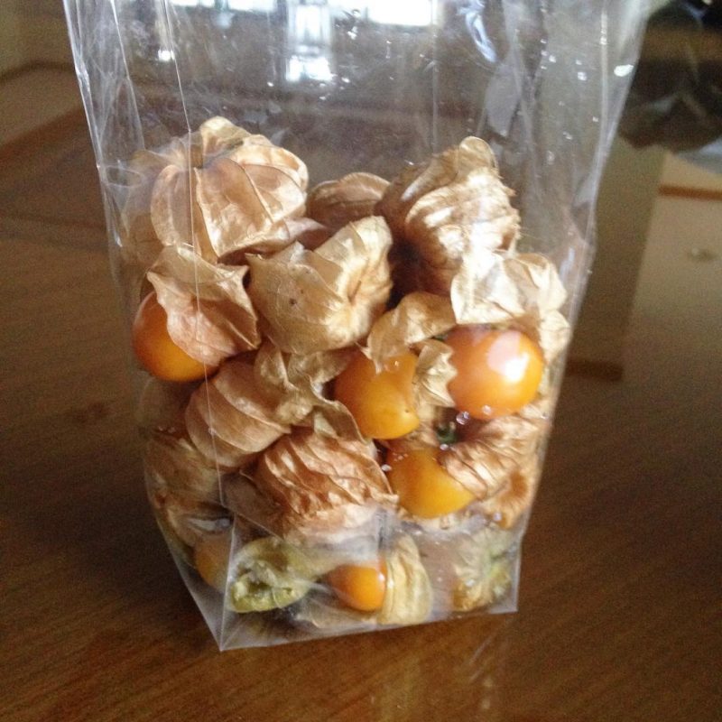@pinkulicious suggested me to eat cape gooseberries. And now I can't stop eating them. Omg they are so yummy and fresh!!!
