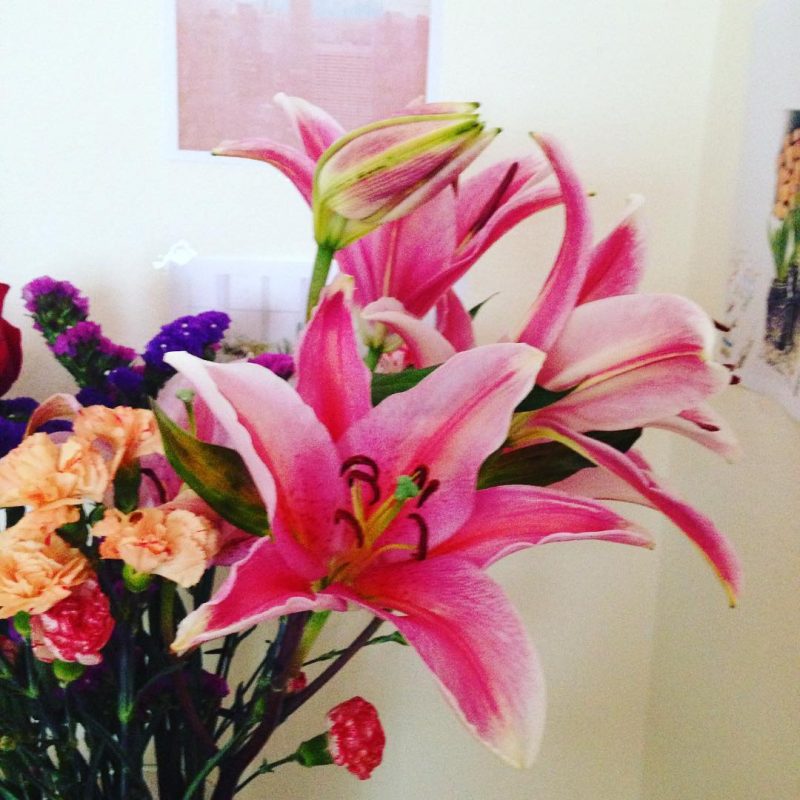 My lilies has bloomed this morning. It made my Sunday!