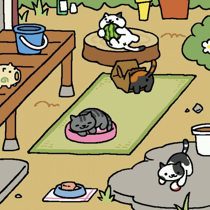 4 cats visited my yard thus morning. Hehe