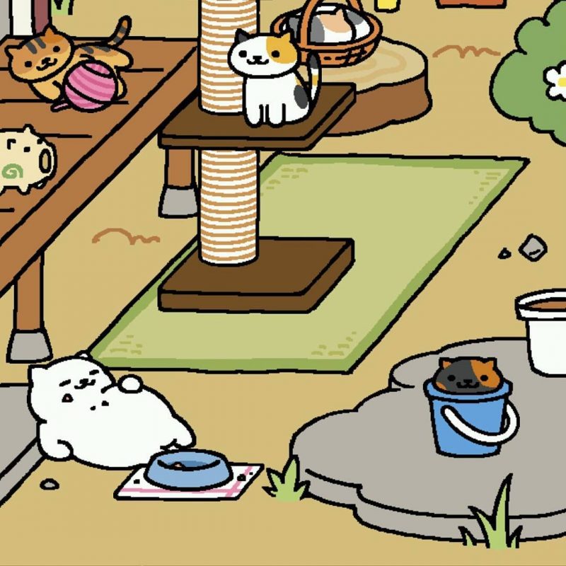 Tubbs visited me twice today!