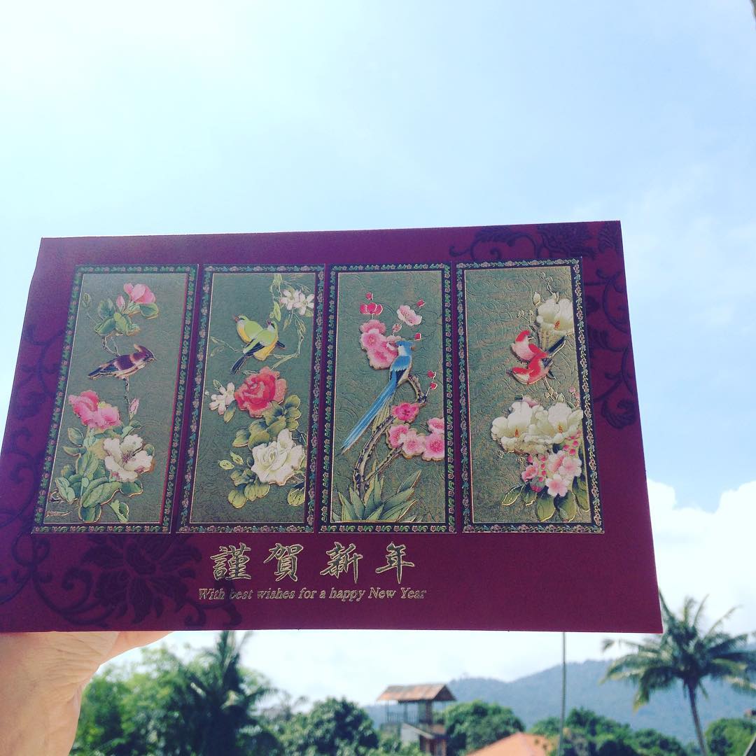 Thank you so much for this beautiful New Year card from China - Girl on