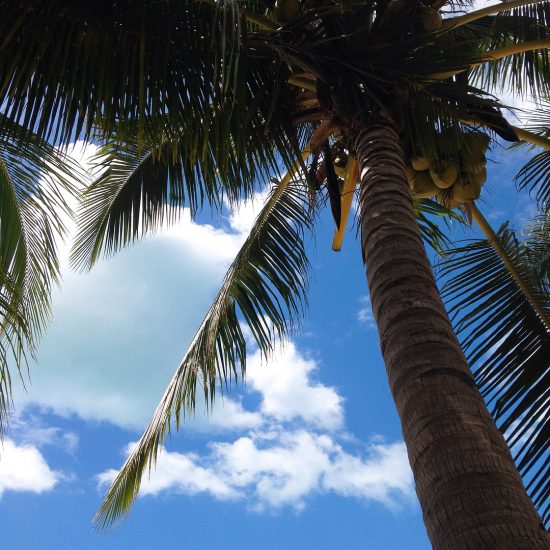 My top views when I was laying down on the beach.