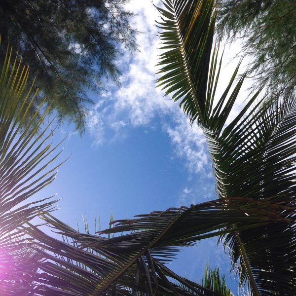 My top views when I was laying down on the beach.