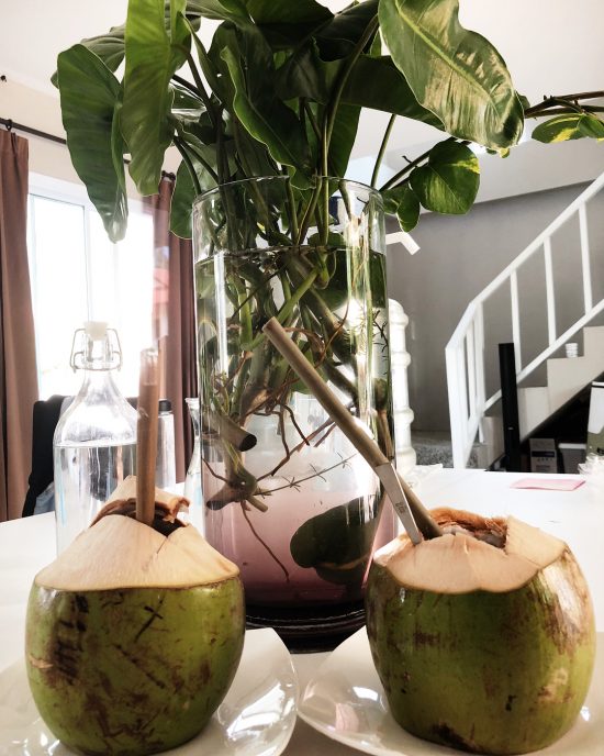 We got new water plants and fish 🐠 from our landlord. We first wanna have water plants in our house. Then we figured it out how to prevent mosquito eggs from 💦 in the vase. So we decided to have fish 🐠 in the same vase as the water plants. Btw, these days we are addicted to coconut 🥥 water. We drink it almost everyday. We drink coconut water from our bamboo straws. It’s more tasty when we drink from a bamboo straw.