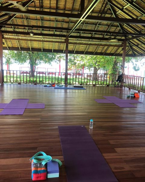 Morning yang yoga with teacher Mike🧘🏻‍♀ it’s such a beautiful day!