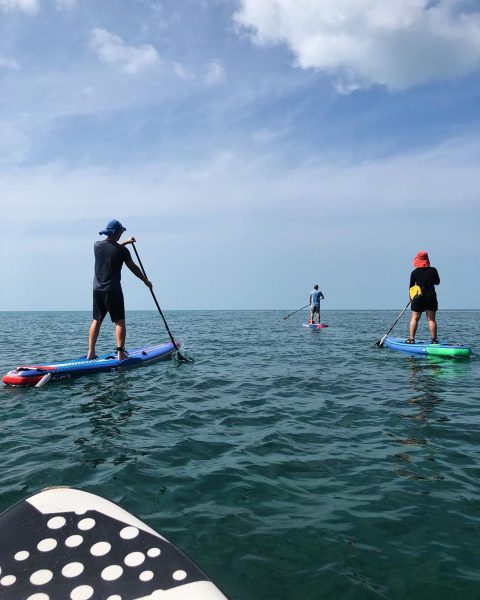 🌴🏄🏻‍♀️🥰Saturday morning paddle 🏝🏖🌊 Today we were enjoying our morning after we had a big night out at O’s birthday party. 🎊🎁🎉 we managed to wake up early at 7.30 am and started paddling at Yousabuy at around 9 am. Luckily it wasn’t too hot this morning. I was so excited and happy to see a big turtle in the sea 🐢.
.
.
.
.
.
 #perfectday #beachlife #islandlife #happyislanders #lifeisgreat #kohsamui #thailand #SUP #starboardSUP #standuppaddleboarding #paddleboard